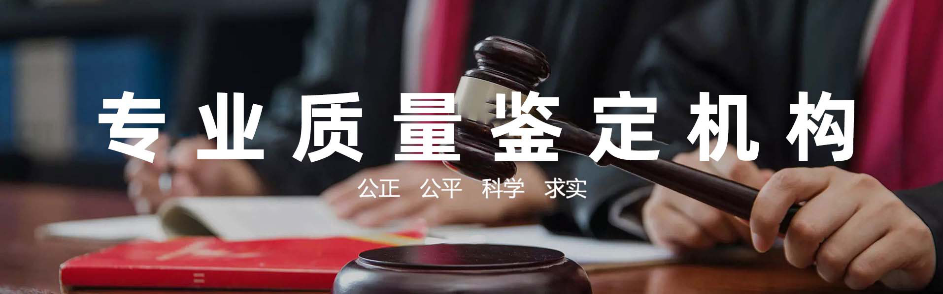 業(yè)務(wù)范圍